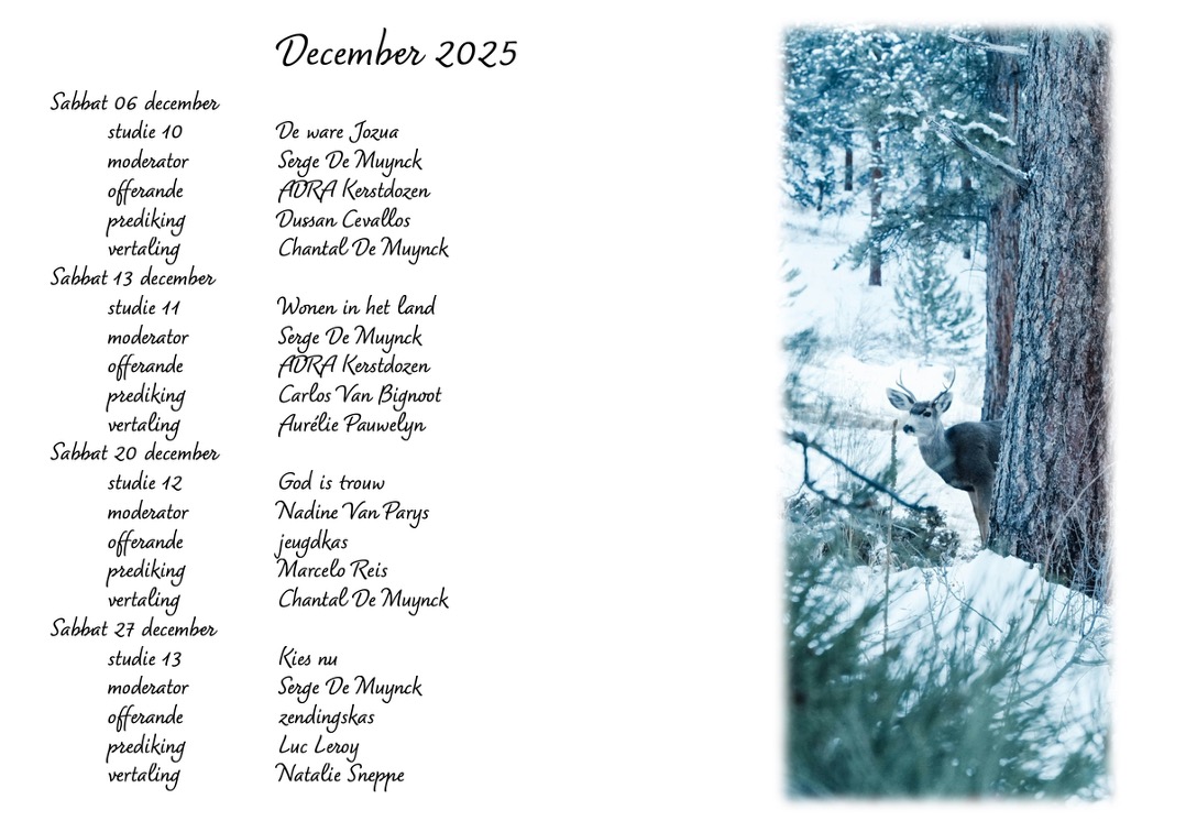 Maandoverzicht december 2025